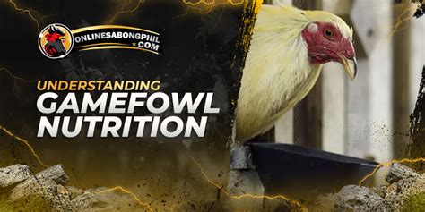 centrum for gamefowl|A Quick Guide on Gamefowl Nutrition and Vitamins .